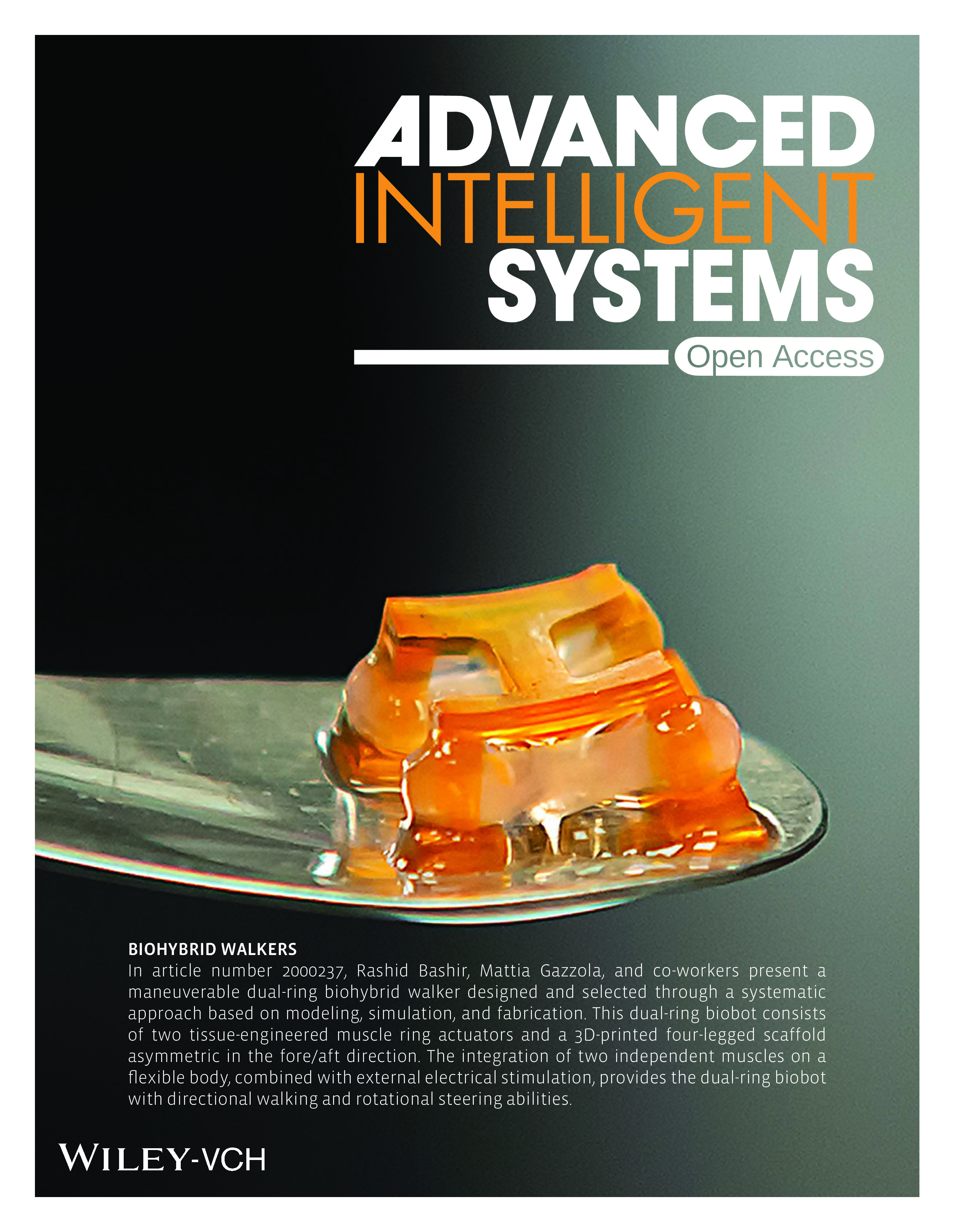 AIS 2021 Front Cover